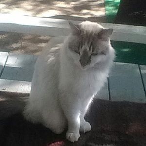 Meet your Posher, Margaret